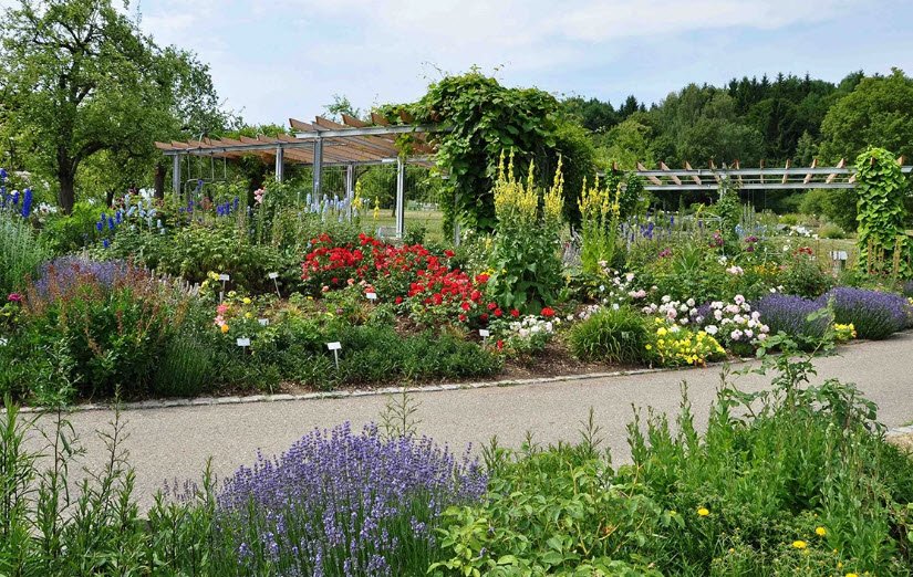 Botanical Garden of the University of Ulm, Germany